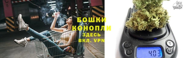 стаф Богородск