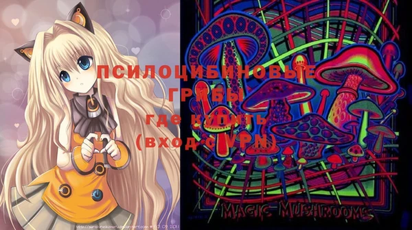 меф Арсеньев