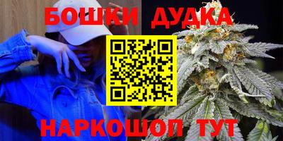 гидра Нальчик
