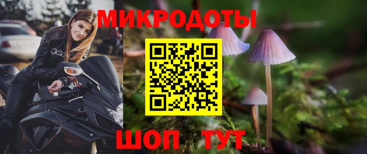 Галлюциногенные грибы Cubensis Невинномысск