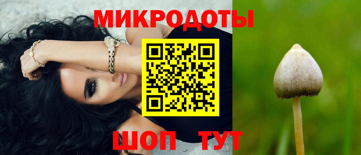 Псилоцибиновые грибы мицелий  купить наркотик  Невинномысск  Вход с VPN 